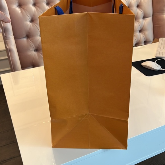 HUGE LOUIS VUITTON PAPER SHOPPING BAG - Picture 12 of 17